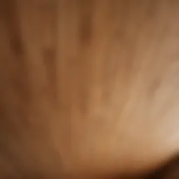 Elegant wooden ceiling boards showcasing natural textures