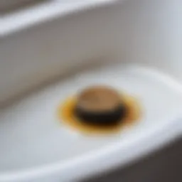 A clogged bathtub drain with hair and soap buildup