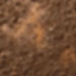 Close-up view of porous linoleum surface showing dirt accumulation