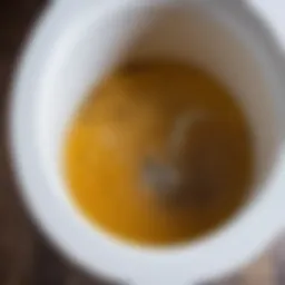 Clogged toilet bowl filled with water
