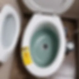 Clogged toilet with visible blockage