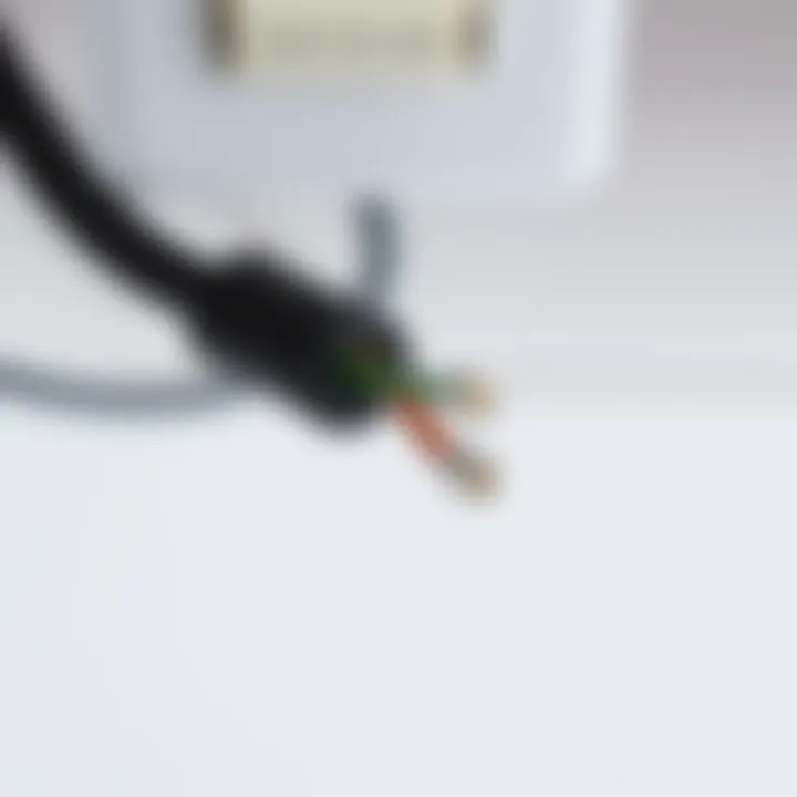 Close-up of a two-wire cable used for switch connections