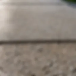 An outdoor concrete surface treated with antiseptic