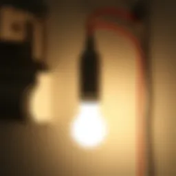 Connection diagram for motion sensor and light bulb
