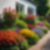 Lush corner garden design featuring colorful flowers and greenery