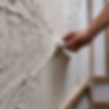 Demonstration of Decorative Plaster Application Techniques Decorative plaster application technique demonstration