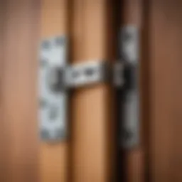 Different types of hinges for interior doors