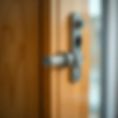 Advanced Door Locking Mechanism Close-up of door locking mechanism for enhanced security