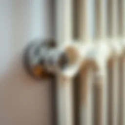 Radiator valve showing air release mechanism