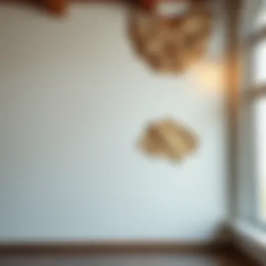 Notable Эффективные методы удаления побелки со стен Notable Эффективные методы удаления побелки со стен