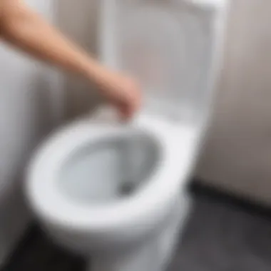 Final inspection of installed toilet