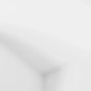 Smooth Finish of a Newly Whitened Ceiling Freshly whitened ceiling showcasing smooth finish