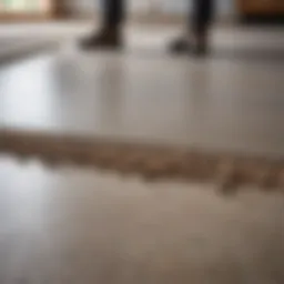 Detailed view of floor screed material