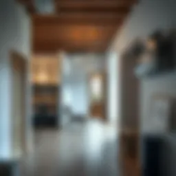 Гардеробная и постирочная в одном помещении: эффективные решения для оптимизации пространства Introduction