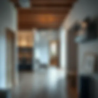 Гардеробная и постирочная в одном помещении: эффективные решения для оптимизации пространства Introduction Гардеробная и постирочная в одном помещении: эффективные решения для оптимизации пространства Introduction