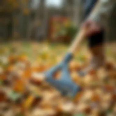 Efficient Leaf Gathering with Rake Person using a rake to gather leaves