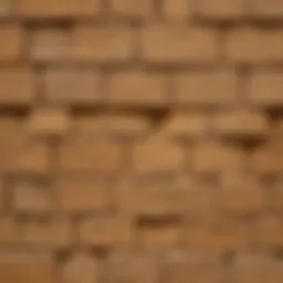 Close-up view of a textured wall surface