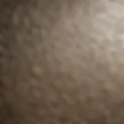 Close-up of wallpaper texture