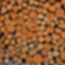 A selection of firewood suitable for indoor stoves