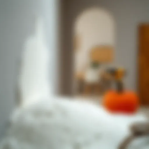 Effective Foam Drying Techniques Techniques for drying foam efficiently