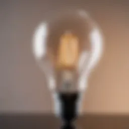 Close-up of a light bulb suitable for spring fixtures