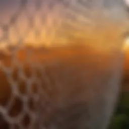 Close-up of intricate netting technique