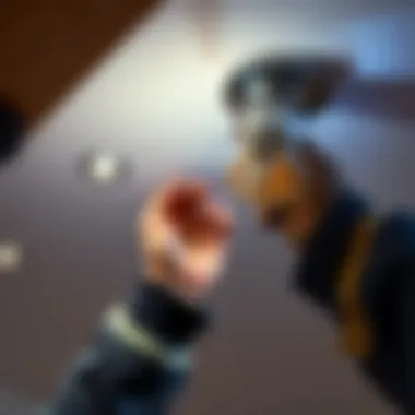 Installing Smart Light Bulbs Effectively Smart light bulb installation