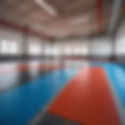 Vibrant garage floor color options