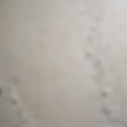 Close-up of a textured drywall surface covered in paint