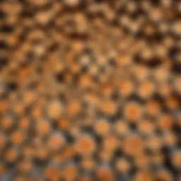 Piled firewood neatly stacked on a wooden rack.