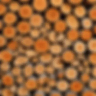 Different types of firewood displayed for comparison.
