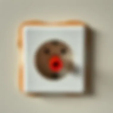 Electrical socket transformation concept