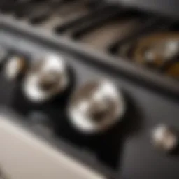 Close-up view of Lex stove knobs