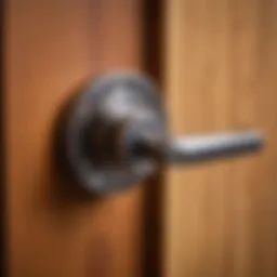 Close-up view of a door handle mechanism