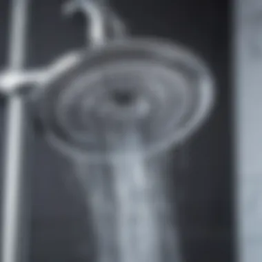 Identifying the Leak Source Close-up of a leaking hygienic shower head showing water drip