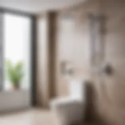 Various types of bidet showers