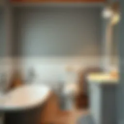 Избавление от старой краски со стен ванной комнаты: практическое руководство Introduction