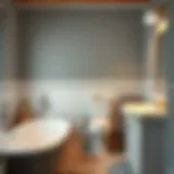 Избавление от старой краски со стен ванной комнаты: практическое руководство Introduction Избавление от старой краски со стен ванной комнаты: практическое руководство Introduction