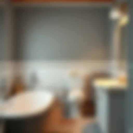 Избавление от старой краски со стен ванной комнаты: практическое руководство Introduction Избавление от старой краски со стен ванной комнаты: практическое руководство Introduction