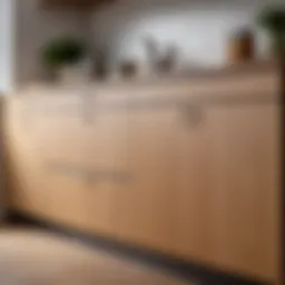 Modern kitchen cabinet facade transformation