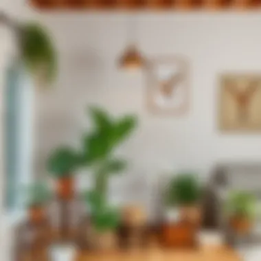 Notable Лампа для растений: зачем нужна и как выбрать