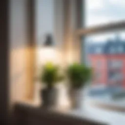 Modern plant lamp illuminating a window sill