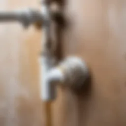 Overview of a leaking hot water riser