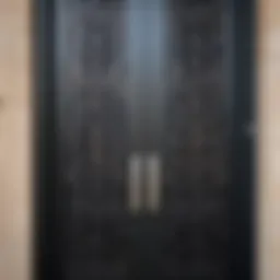 Close-up of a modern metal entrance door with intricate design