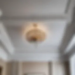 Elegant ceiling cornice installation technique