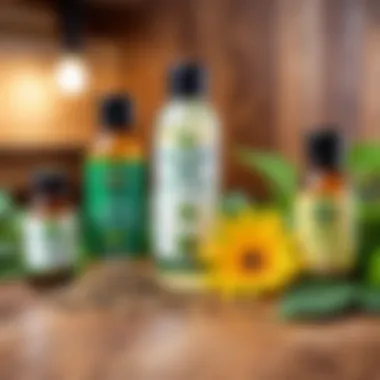 Natural Remedies for Pest Control Natural remedies for pest control displayed
