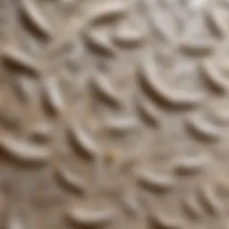 Creative paper applied to textured wallpaper