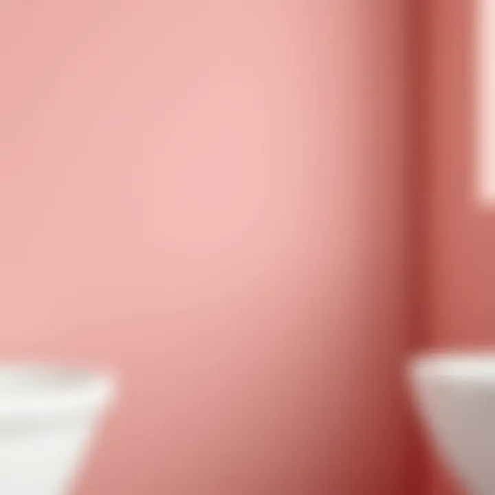 Close-up of paint texture on a bathroom wall