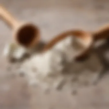 Key Components of Plaster Mixture Key components of plaster mixture