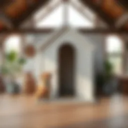 Построение маленькой будки для собаки: практическое руководство Introduction